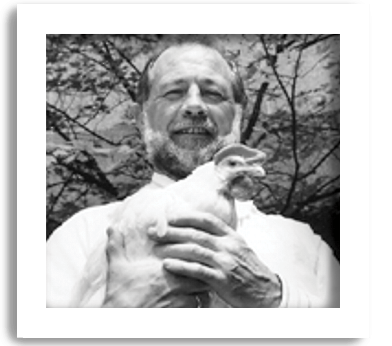 Professor Ian Duncan, pictured in this black and white photo with a chicken, was CCSAW’s first ever Director in the early 90s. Dr. Duncan was one of the first people to develop a scientific approach to ask animals what they want.