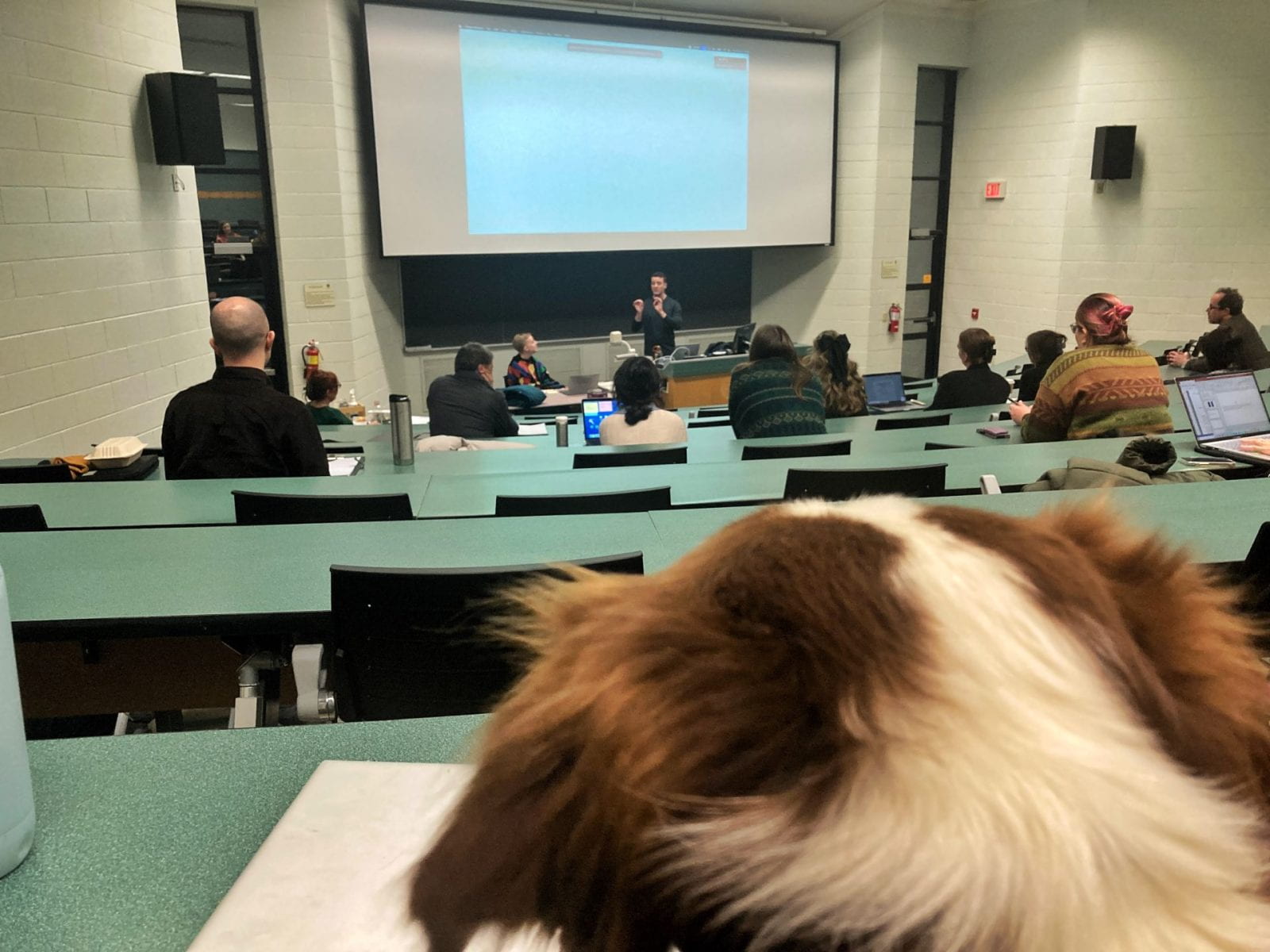 Image of Zero, a service dog, avidly listening to Dr Bob Fischer's seminar