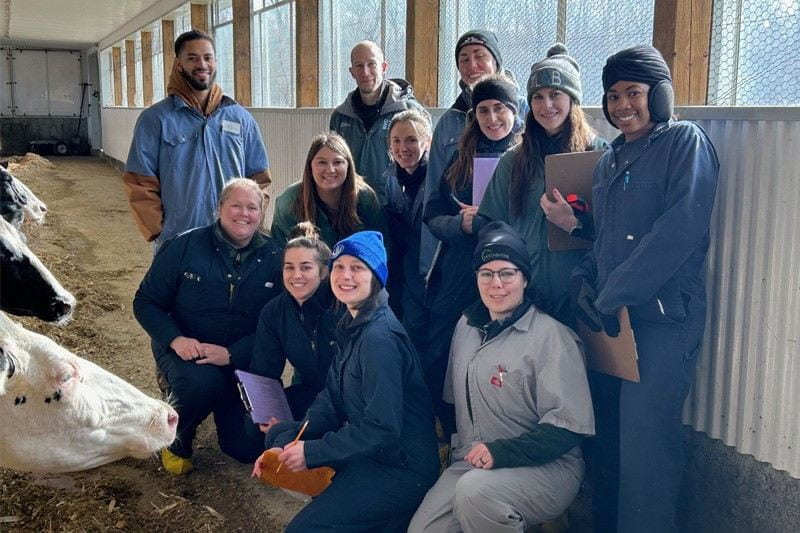 International veterinary students pictured in the UofG teaching barn during their animal welfare rotation